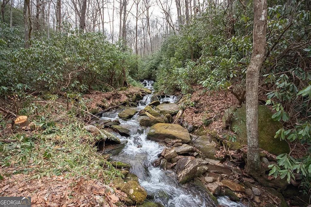 575 Carolina Springs Lane