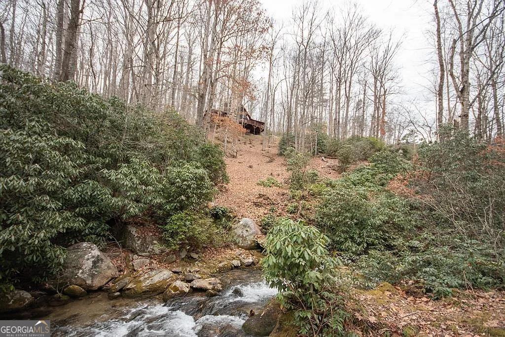 575 Carolina Springs Lane