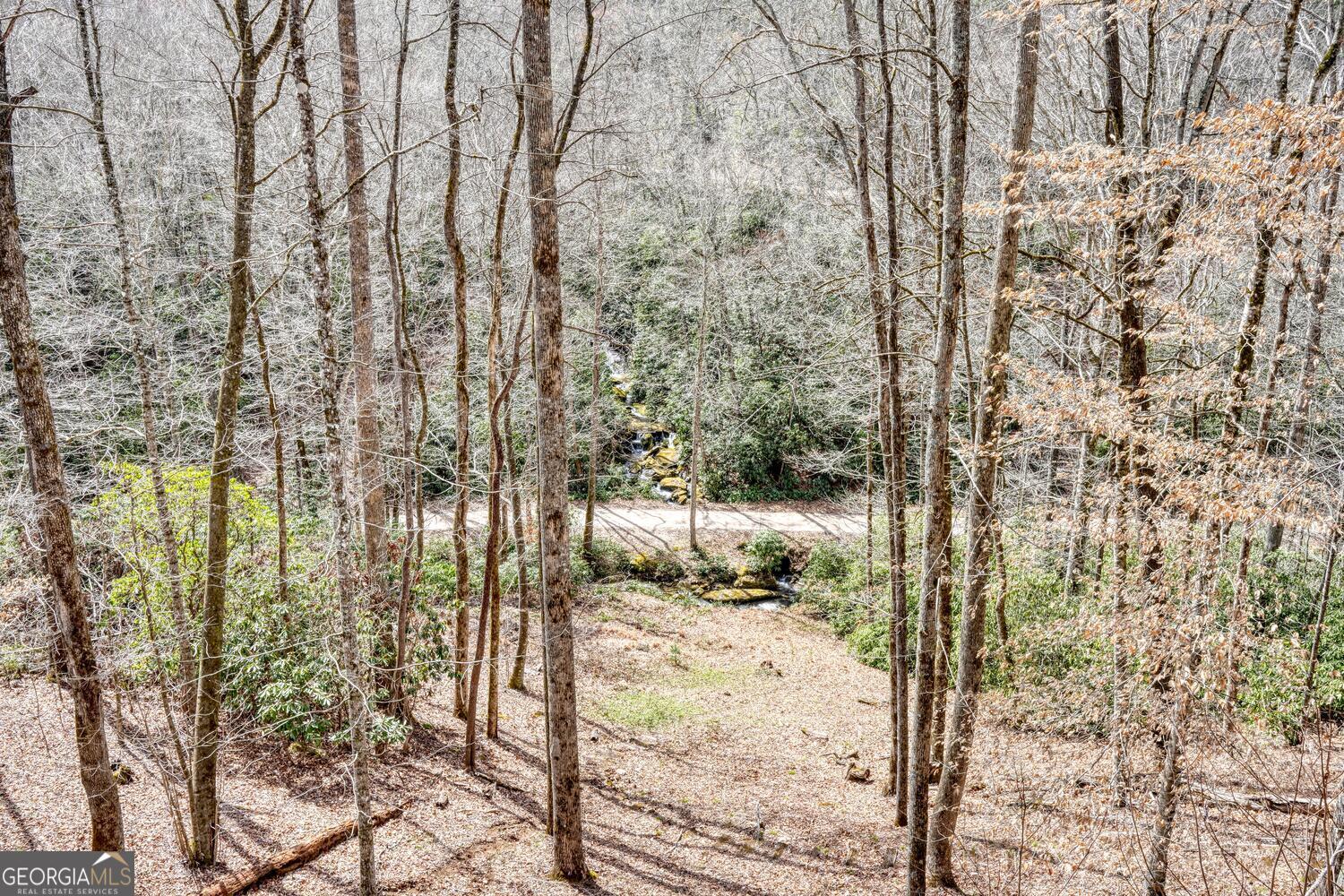 575 Carolina Springs Lane
