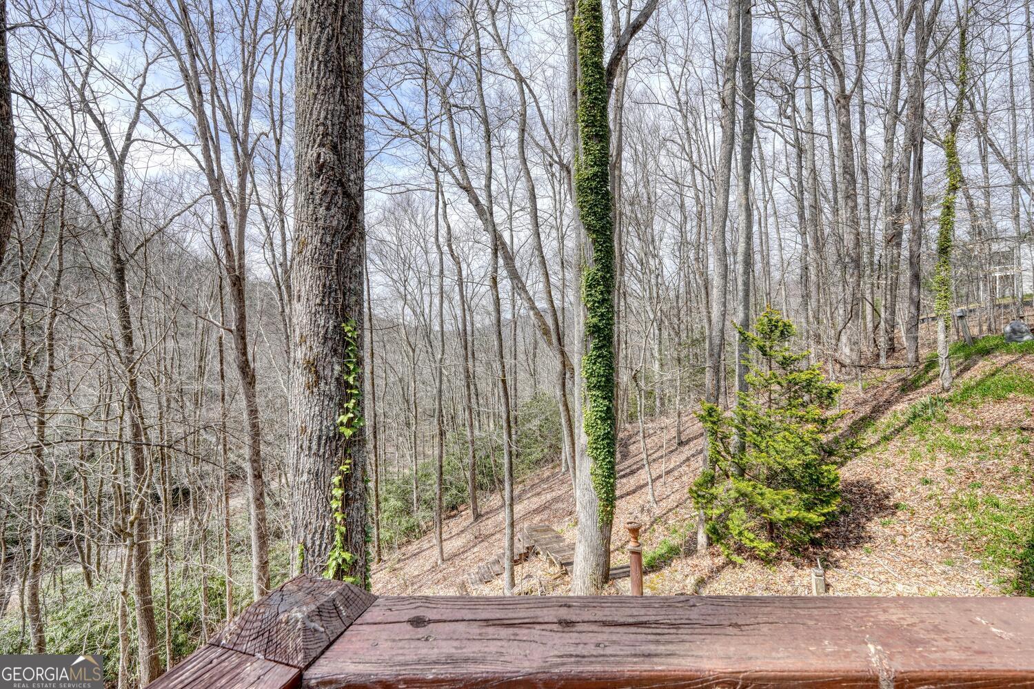 575 Carolina Springs Lane