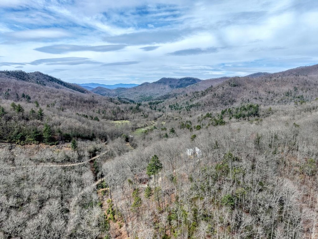 575 Carolina Springs Ln