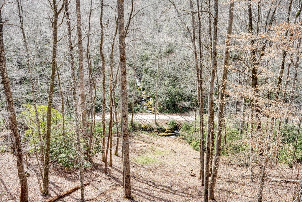 575 Carolina Springs Ln