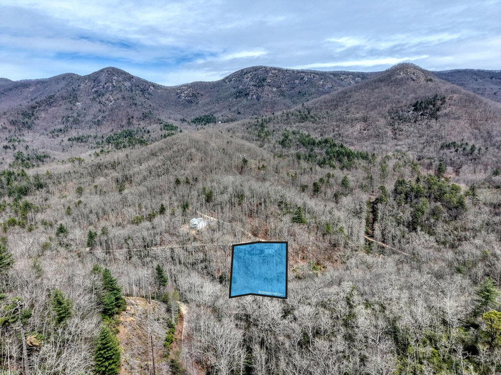 575 Carolina Springs Ln