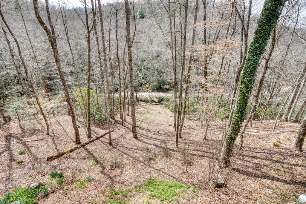 575 Carolina Springs Ln