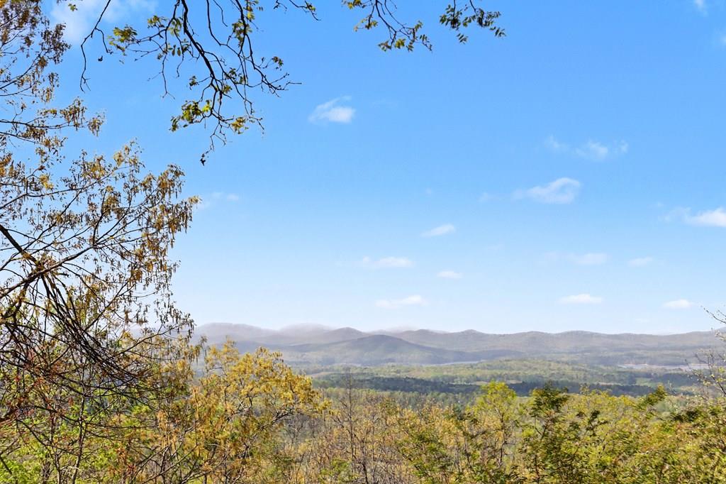 1473 Herokee Mountain Trail