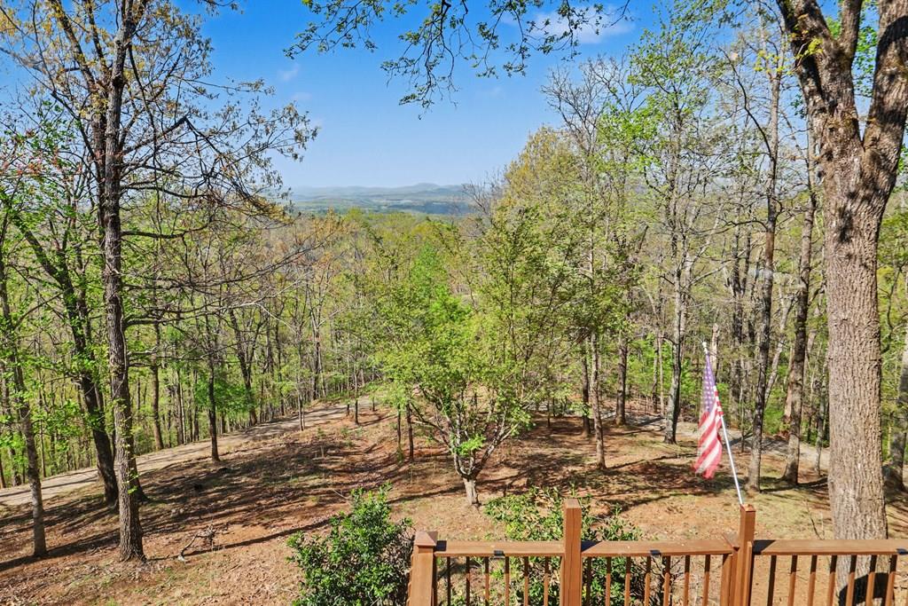 1473 Herokee Mountain Trail