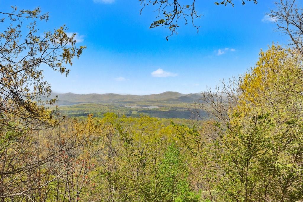 1473 Herokee Mountain Trail