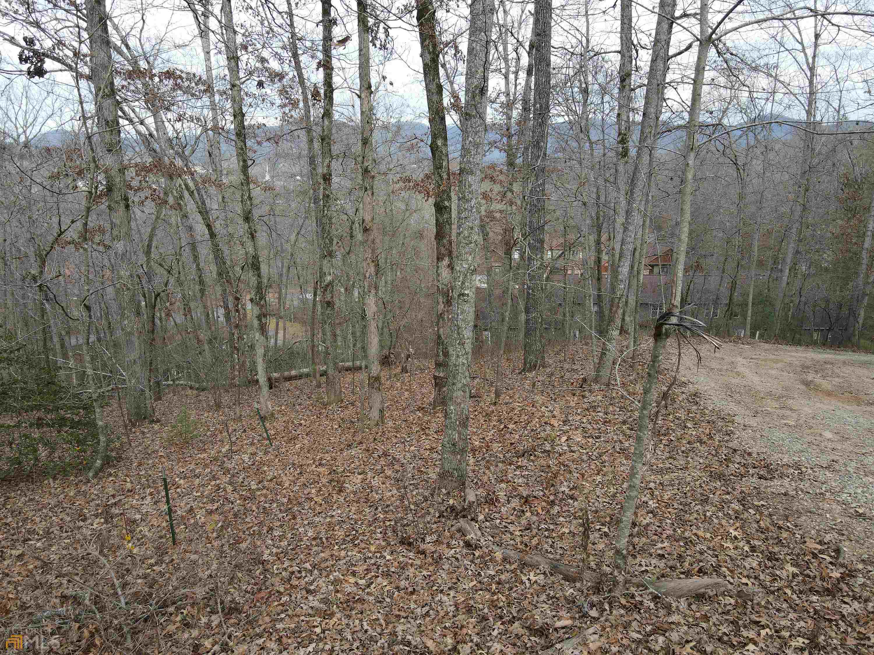 LOT 27 Wellborn Mountain Estates