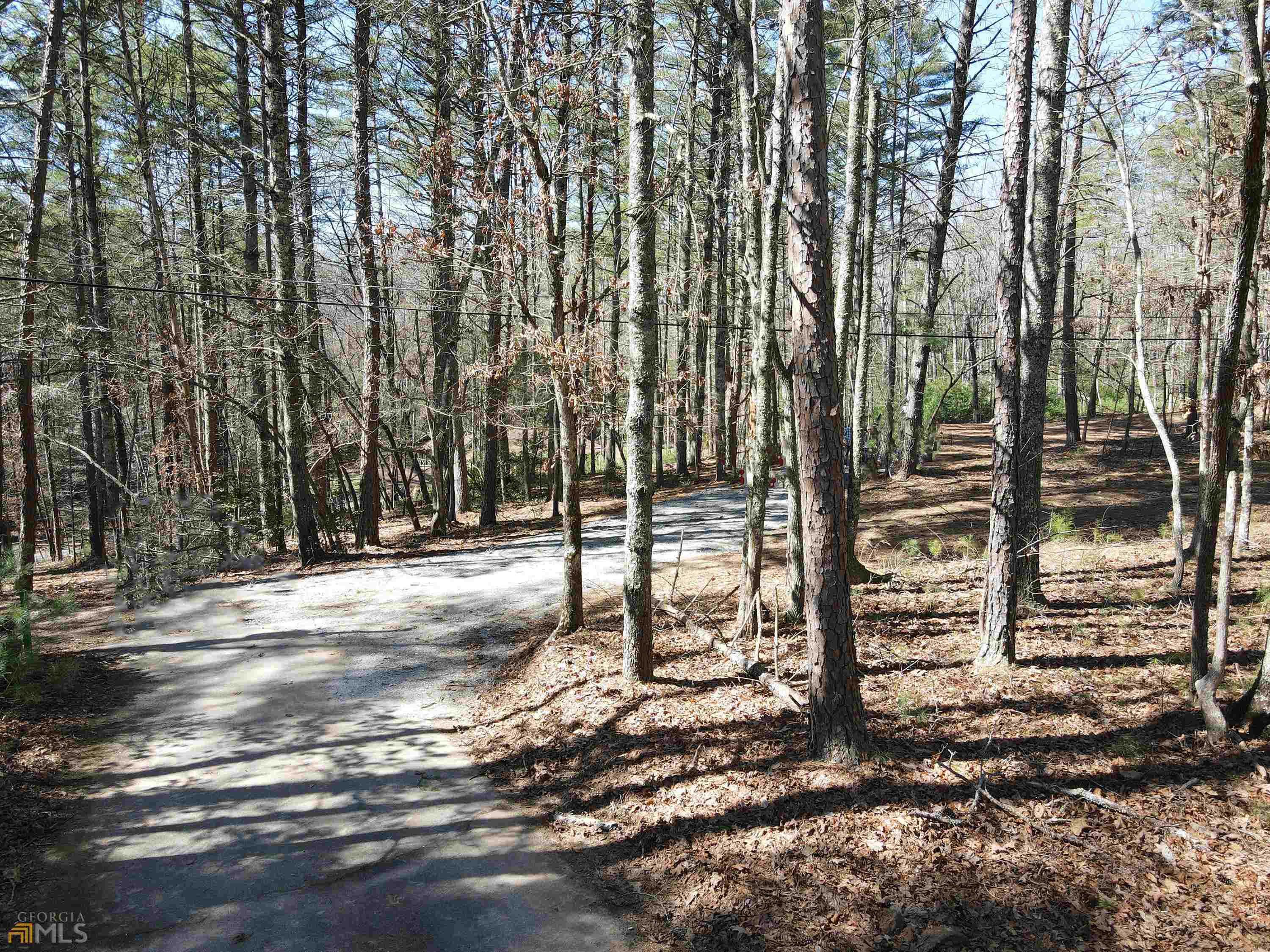 178 Redbird Drive