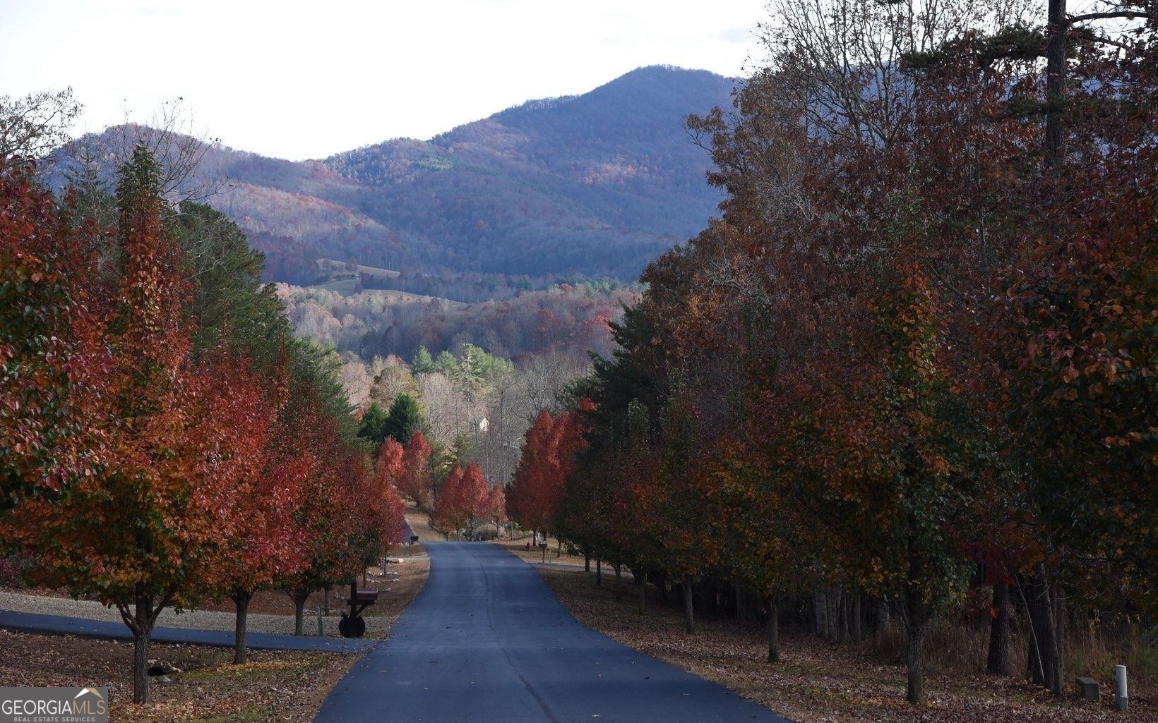 LT 55 Ray Drive Drive