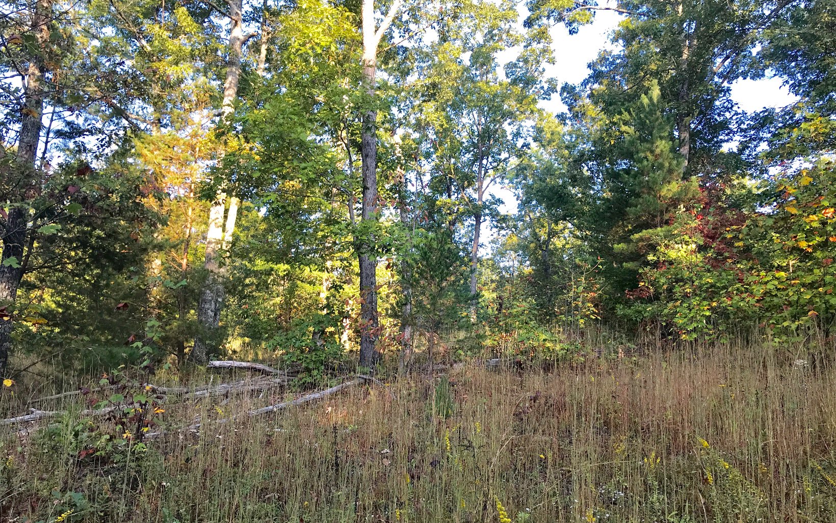 LT 49 Ivy Log Estates Road