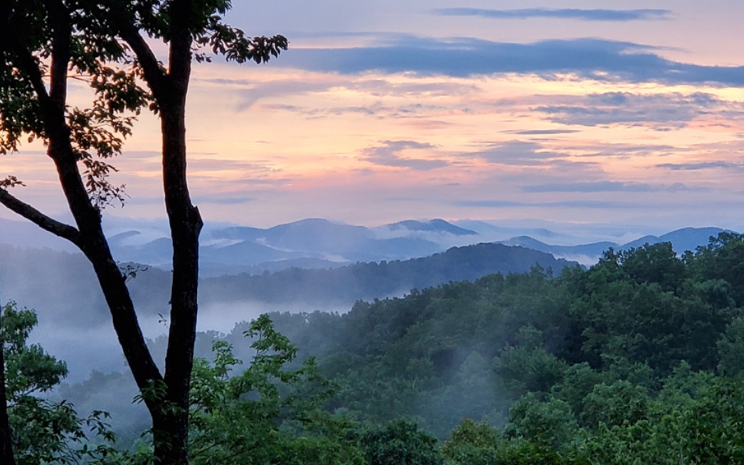 629 Weaver Creek Way