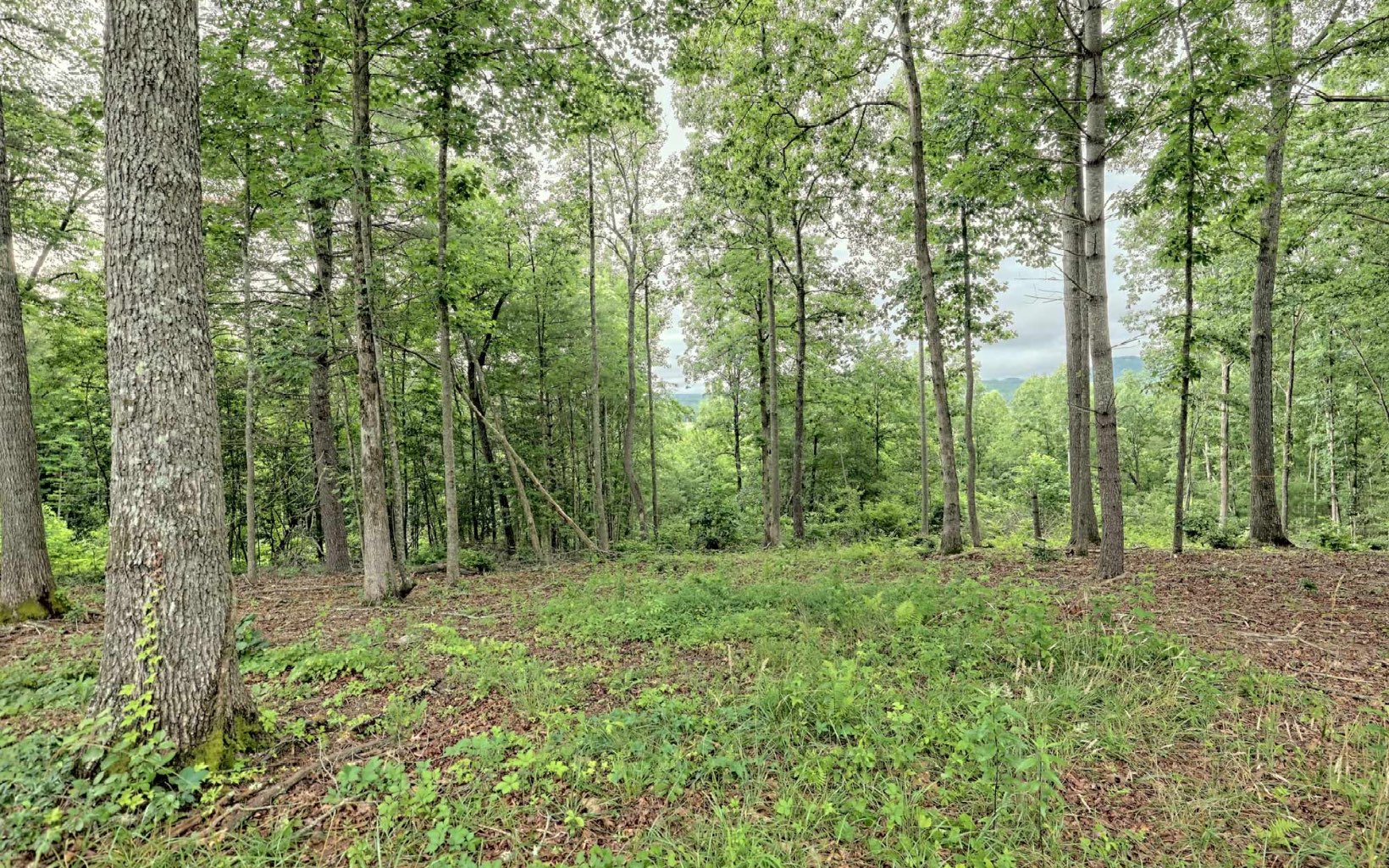 LT 32 East Ridge Lane