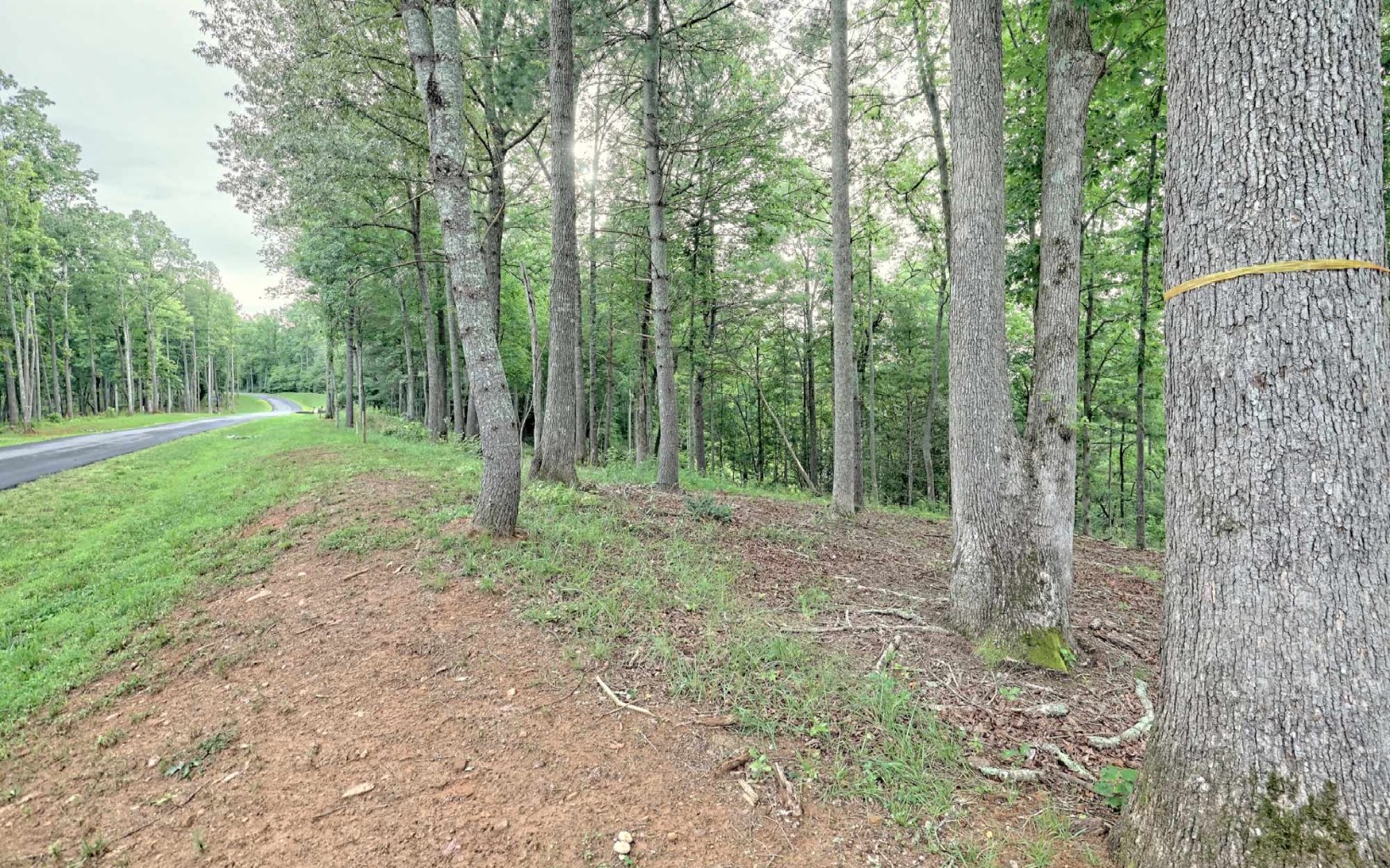 LT 32 East Ridge Lane