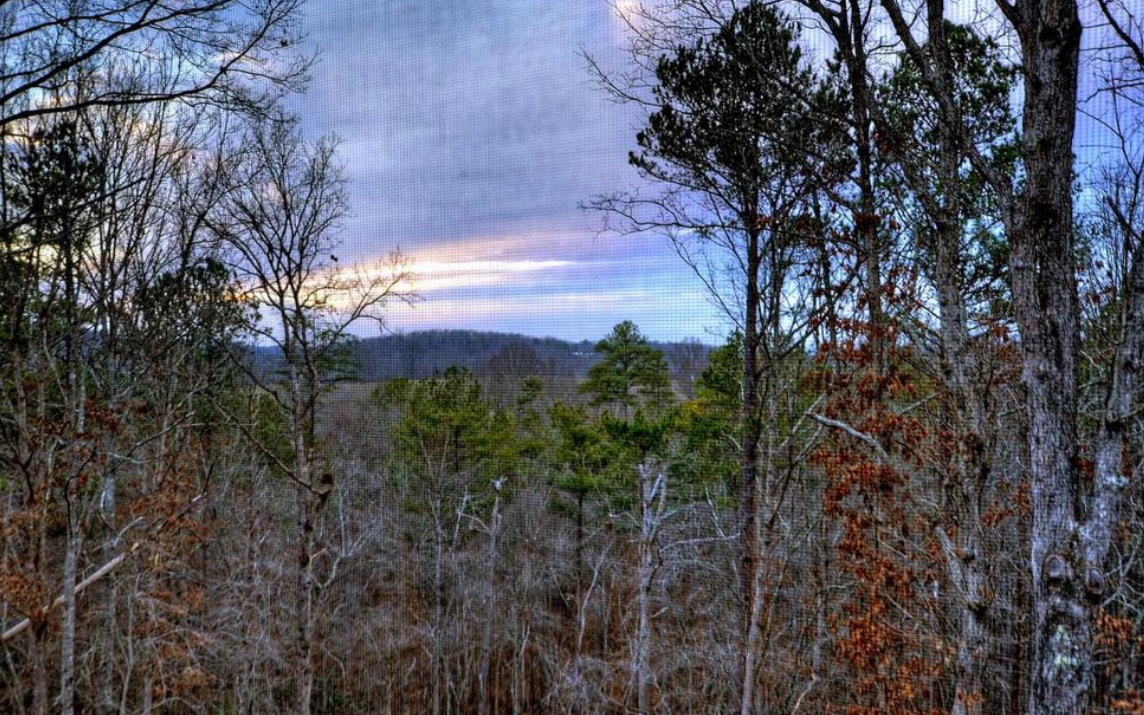 308 Windy Valley Lane