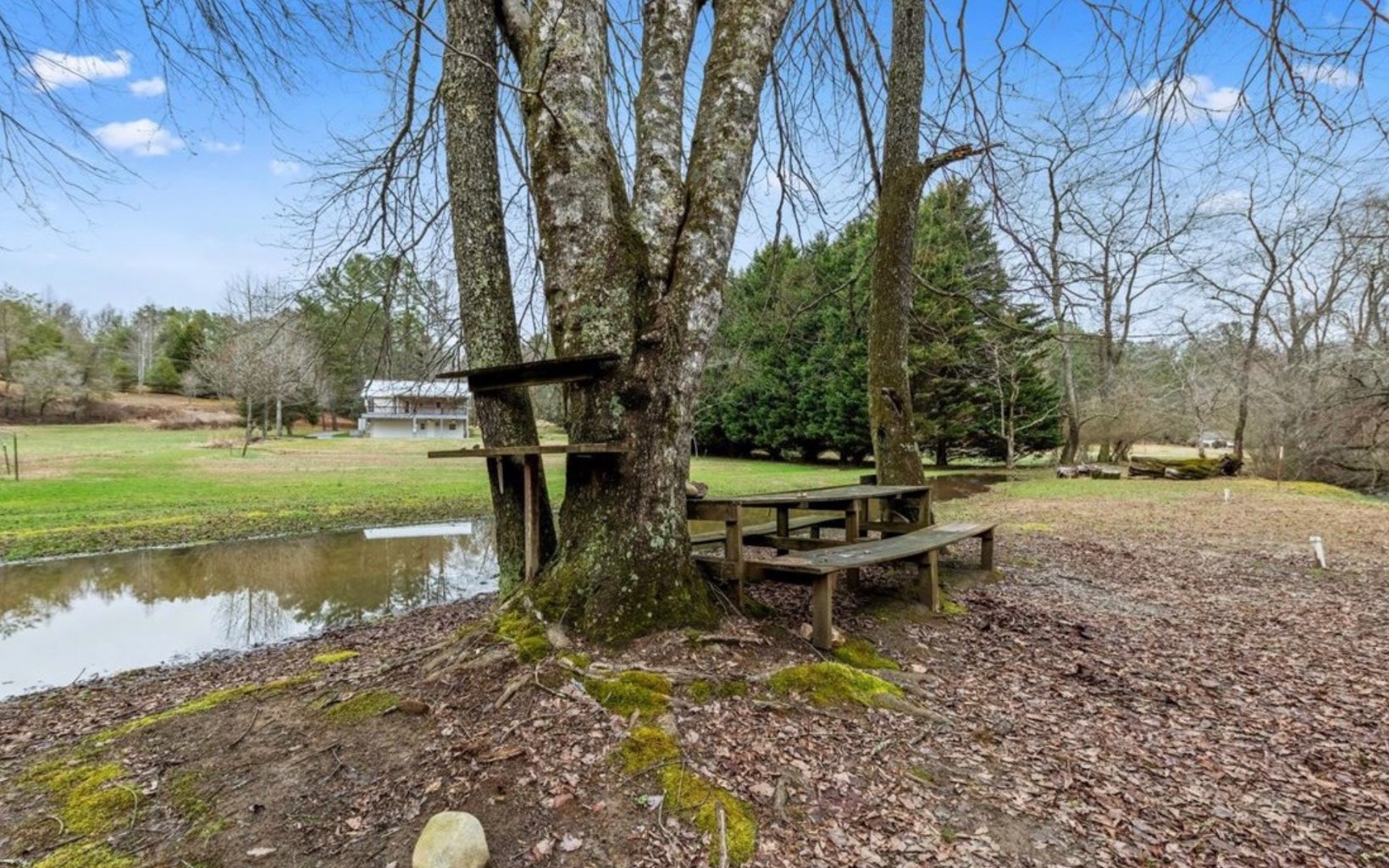 146 Johns Ridge Road