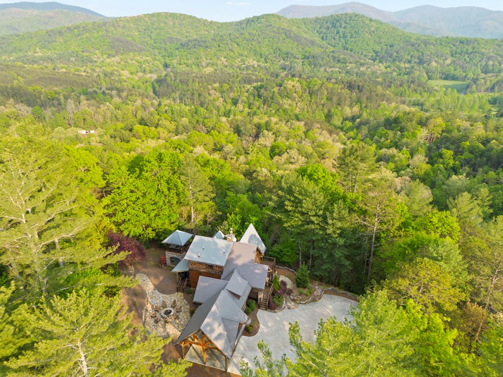 268 Cherry Log Summit Drive