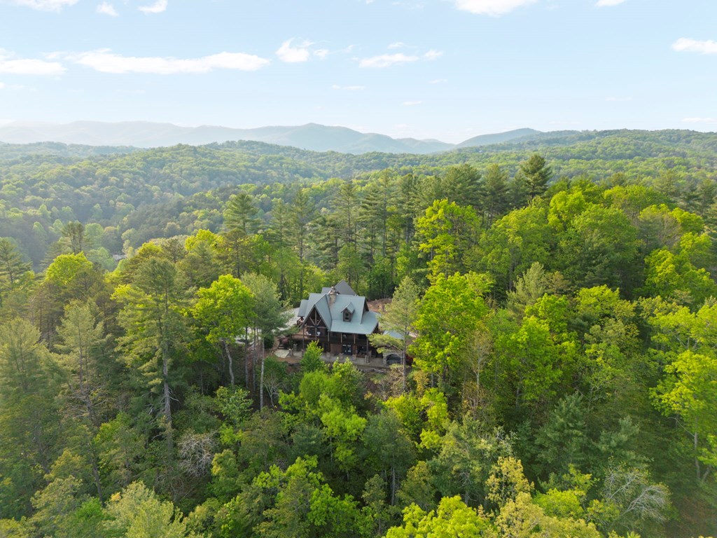 268 Cherry Log Summit Drive