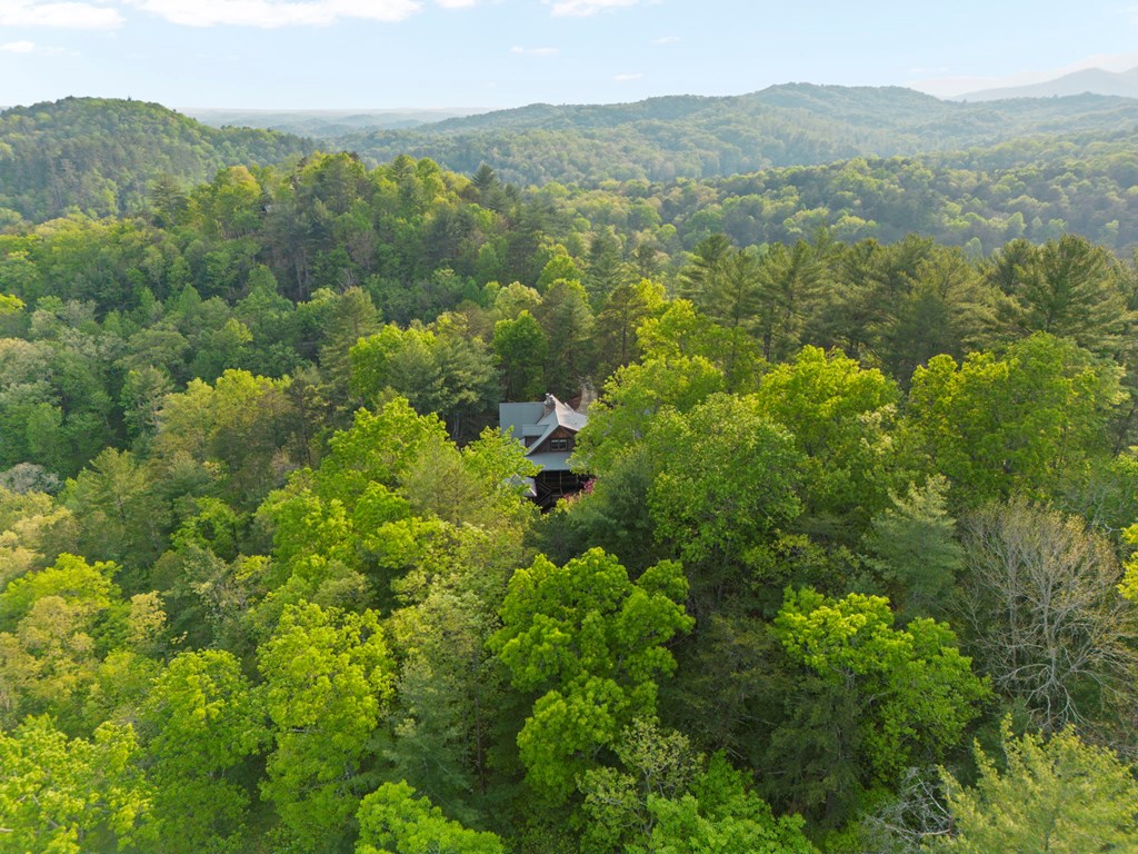 268 Cherry Log Summit Drive