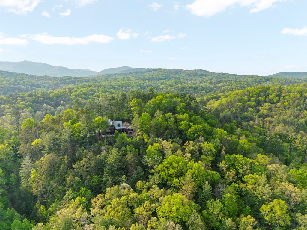 268 Cherry Log Summit Drive