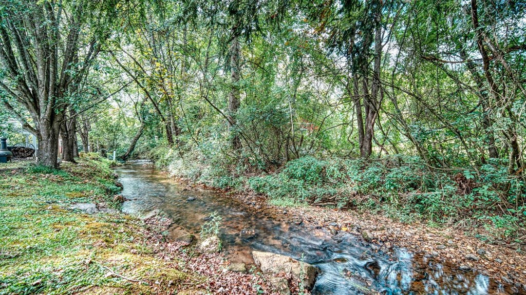 241 Conley Creek Circle