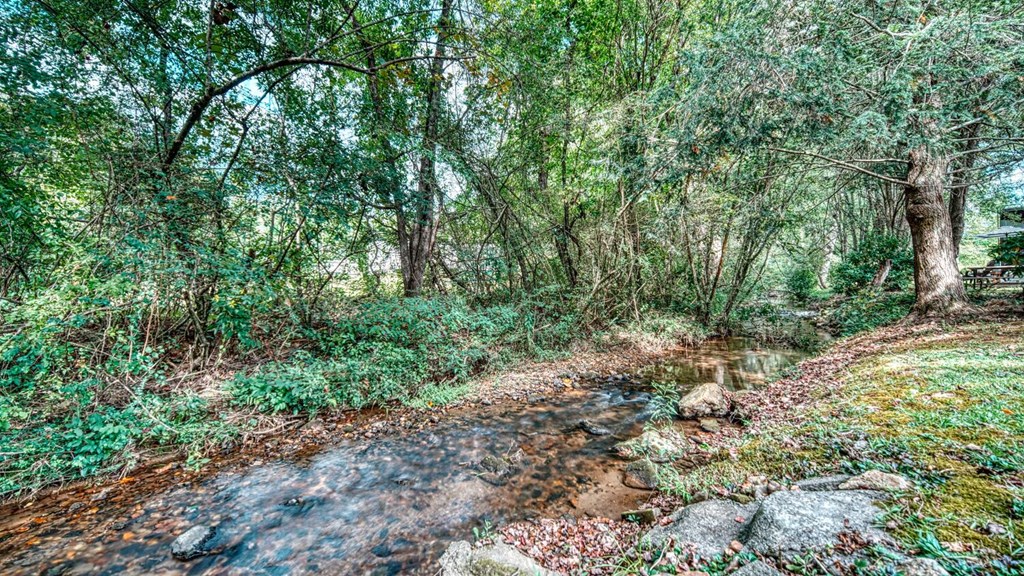 241 Conley Creek Circle