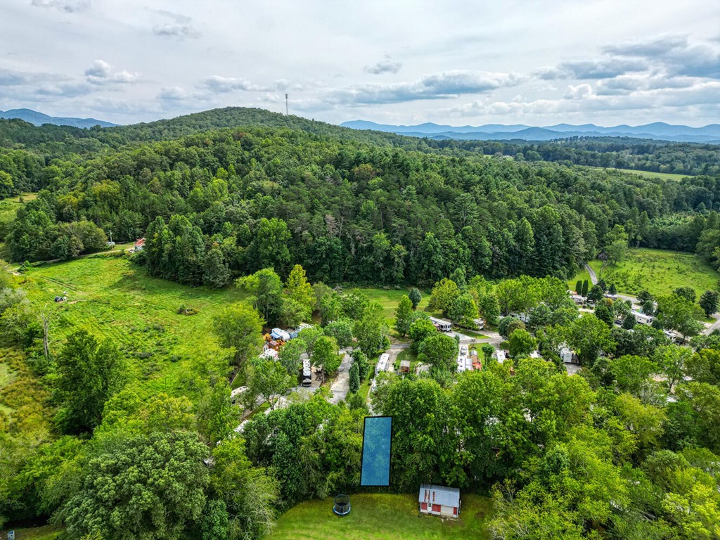 241 Conley Creek Circle