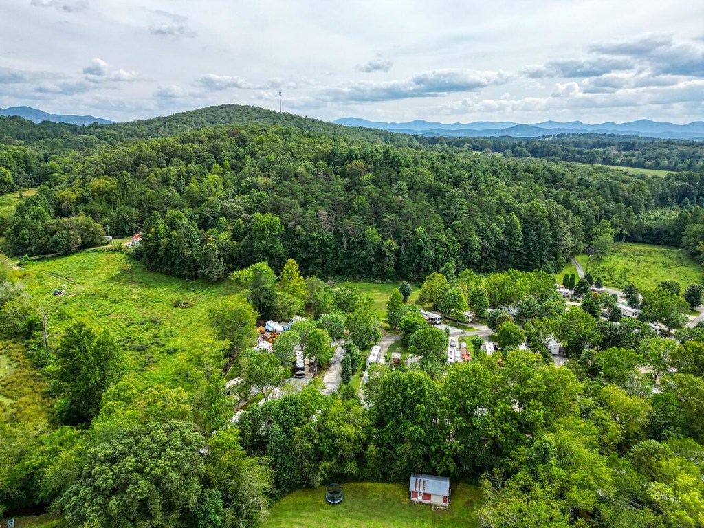 241 Conley Creek Circle
