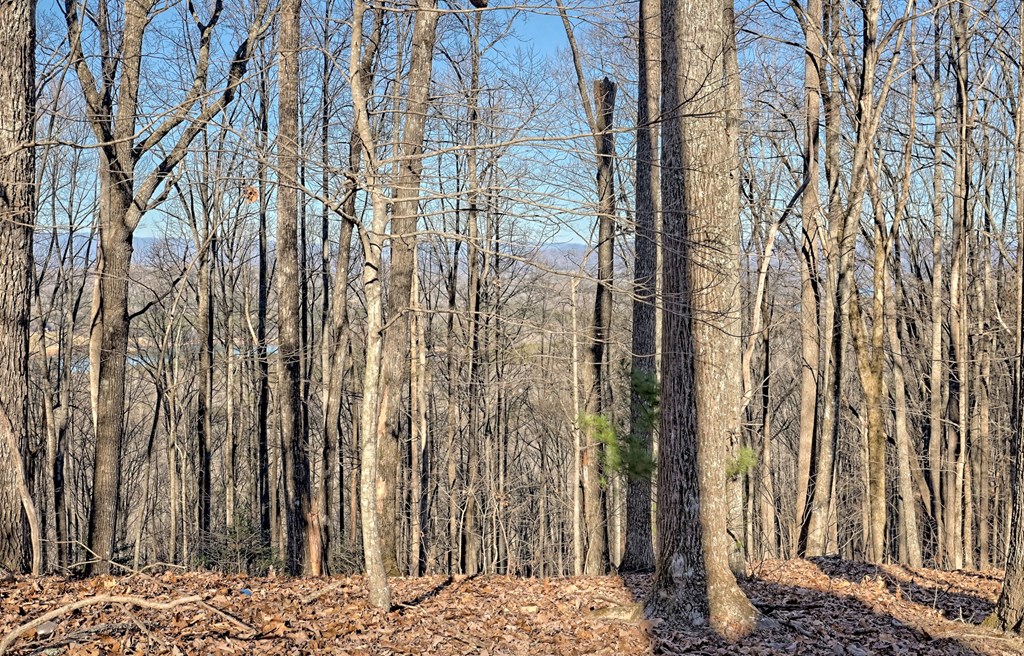 256 Woodland Ridge Drive