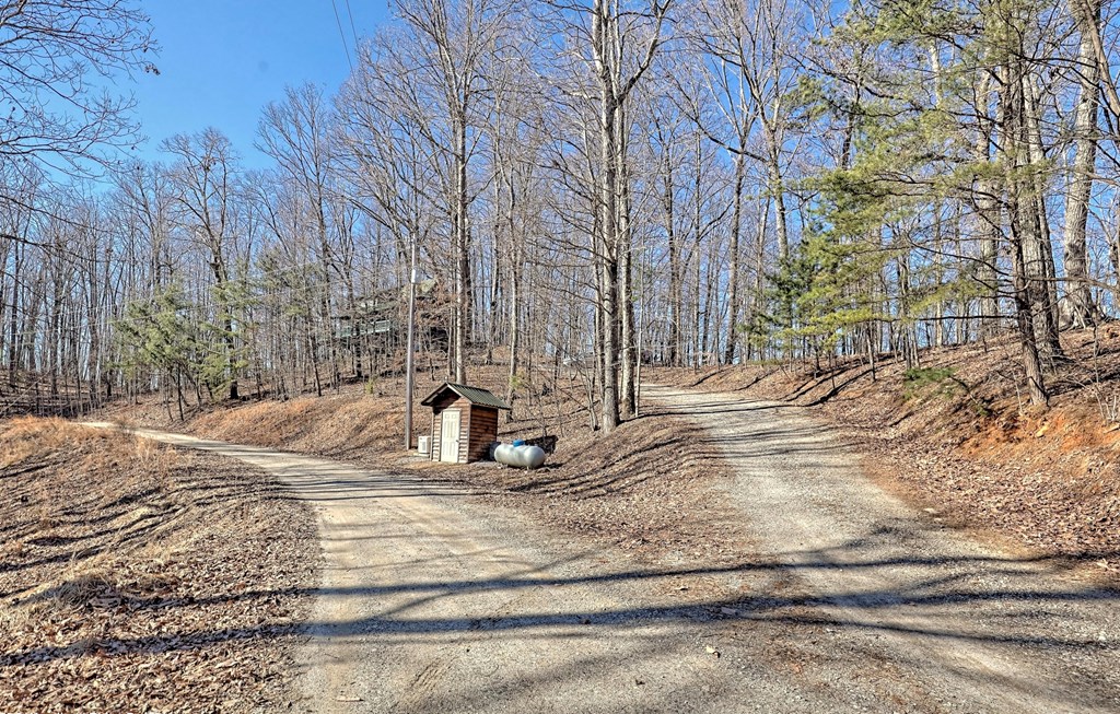 256 Woodland Ridge Drive