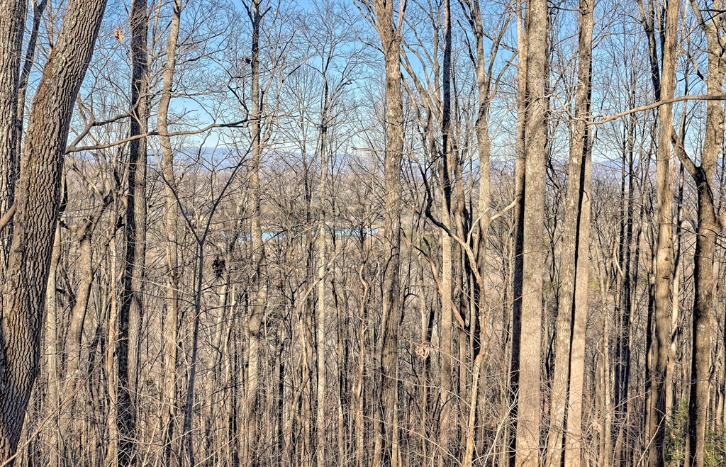 256 Woodland Ridge Drive