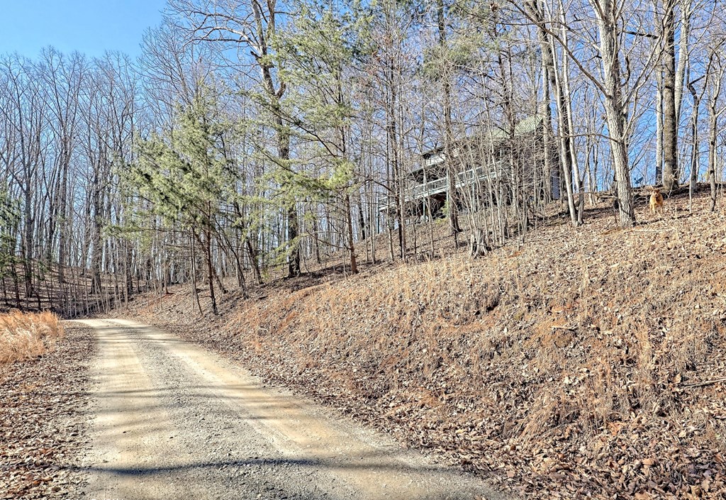 256 Woodland Ridge Drive