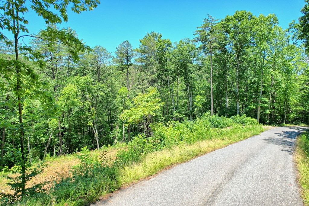 2.61 AC Spiva Cove Mountain Trail