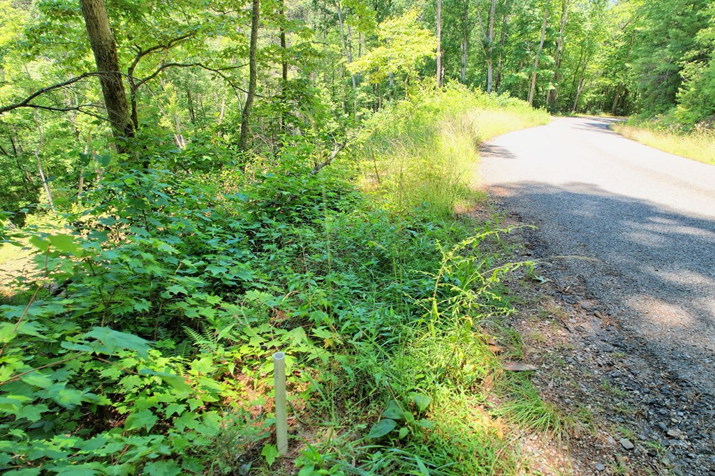 2.61 AC Spiva Cove Mountain Trail