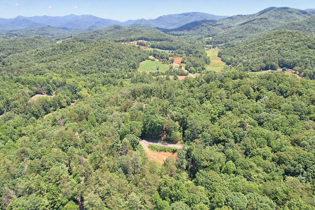 2.61 AC Spiva Cove Mountain Trail