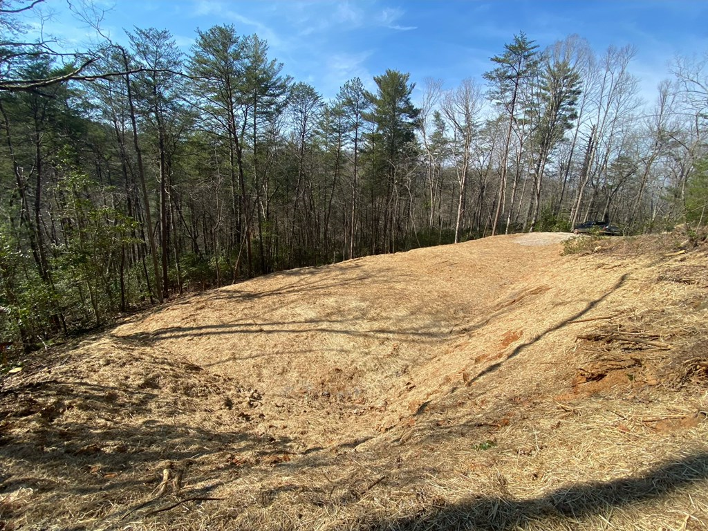 2.61 AC Spiva Cove Mountain Trail