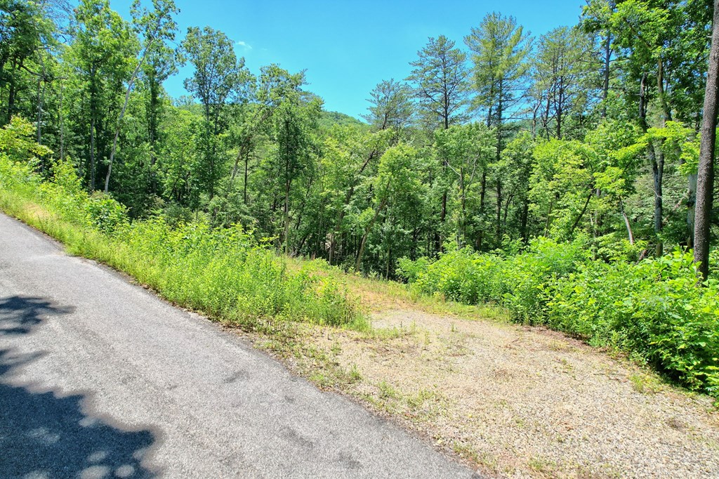 2.61 AC Spiva Cove Mountain Trail