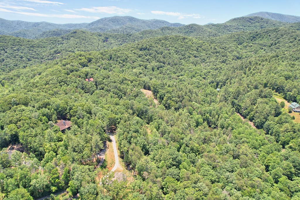 2.61 AC Spiva Cove Mountain Trail