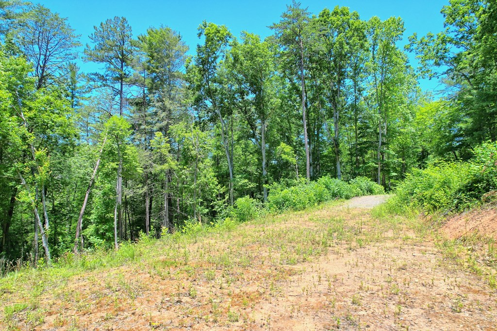 2.61 AC Spiva Cove Mountain Trail