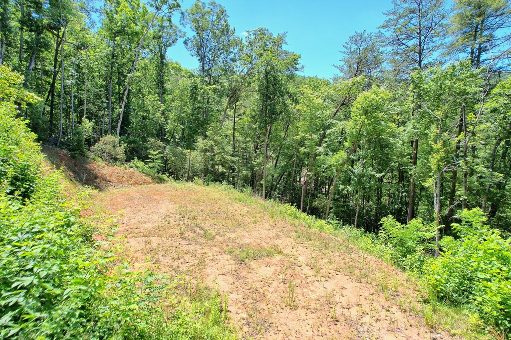 2.61 AC Spiva Cove Mountain Trail