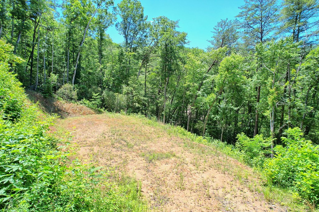 2.61 AC Spiva Cove Mountain Trail