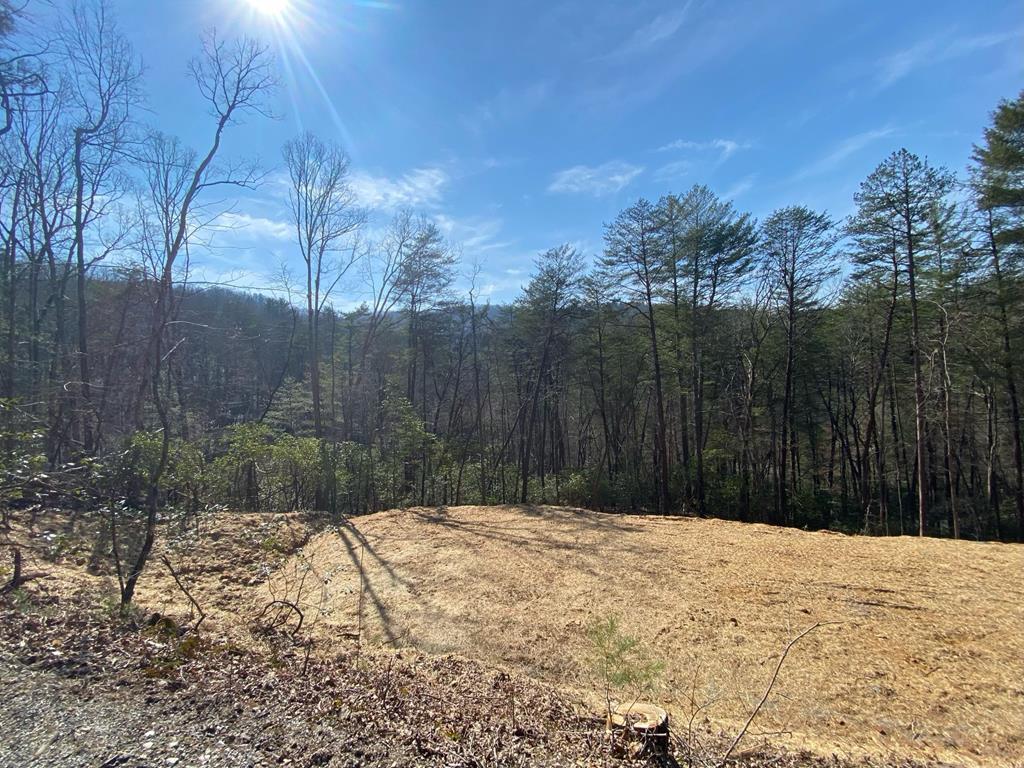 2.61 AC Spiva Cove Mountain Trail