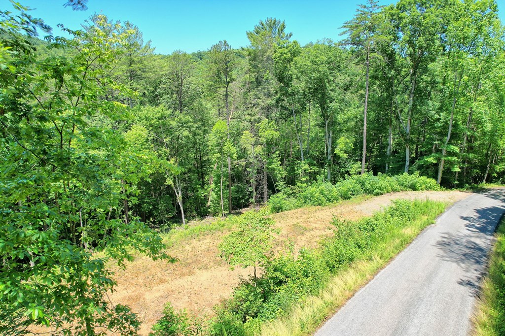 2.61 AC Spiva Cove Mountain Trail