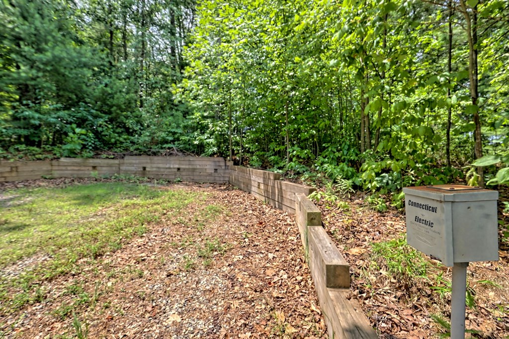 112 Blueberry Ln