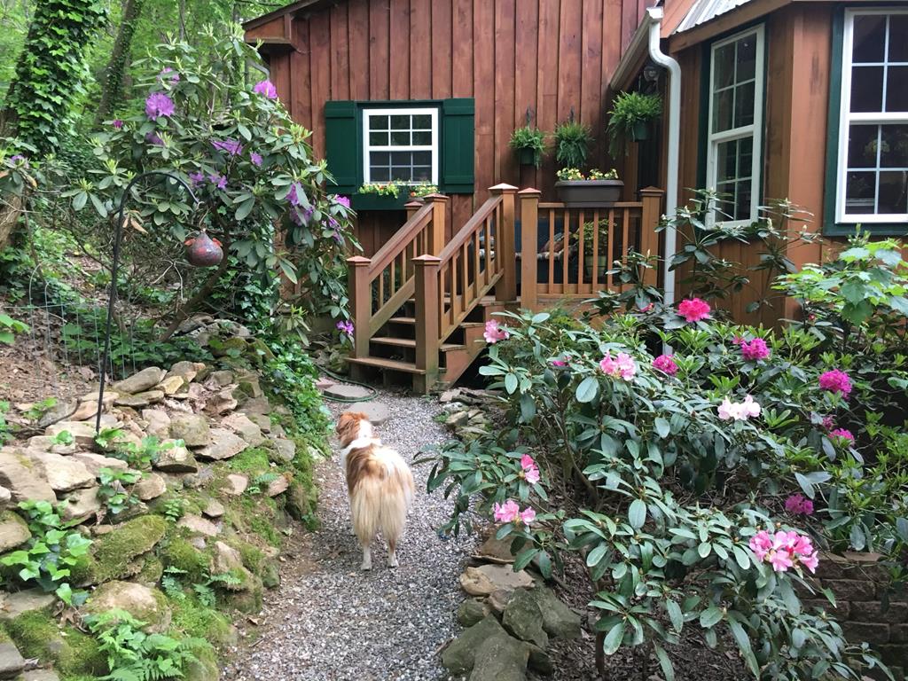 526 Spiva Cove Mtn Trl