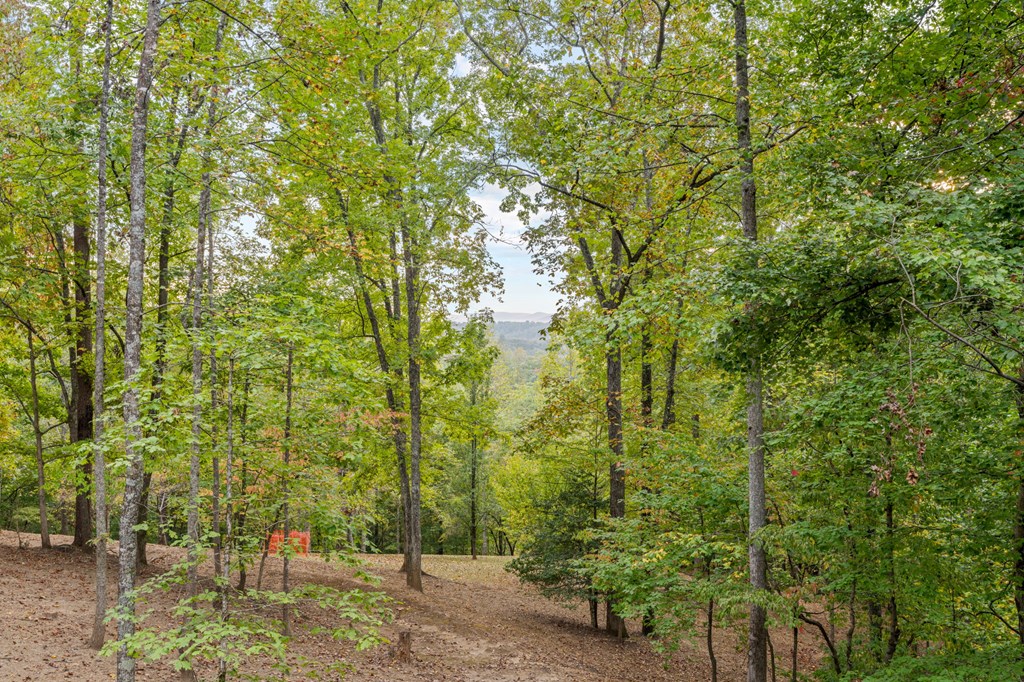 518 Toccoa River Forest