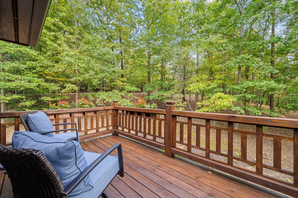 518 Toccoa River Forest
