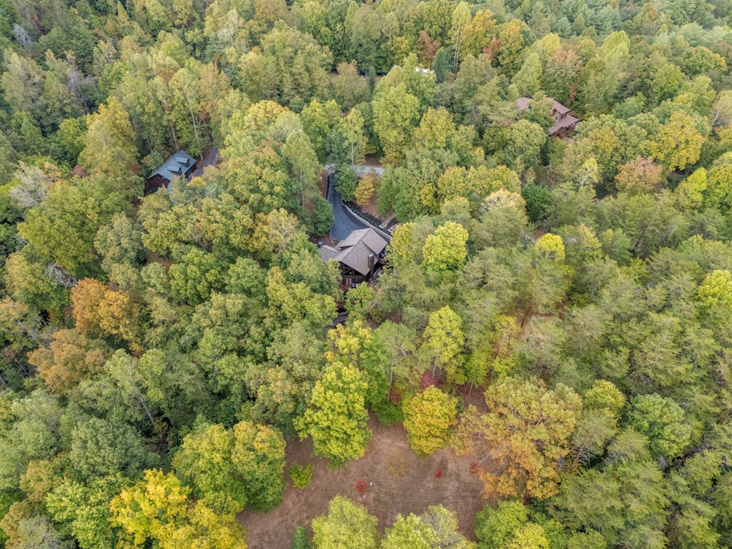 518 Toccoa River Forest