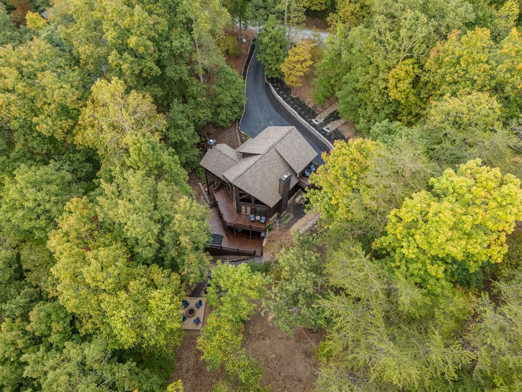 518 Toccoa River Forest
