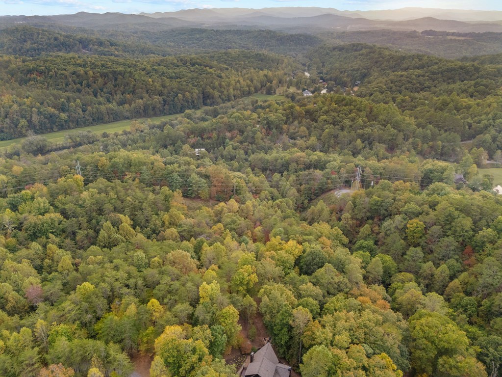 518 Toccoa River Forest